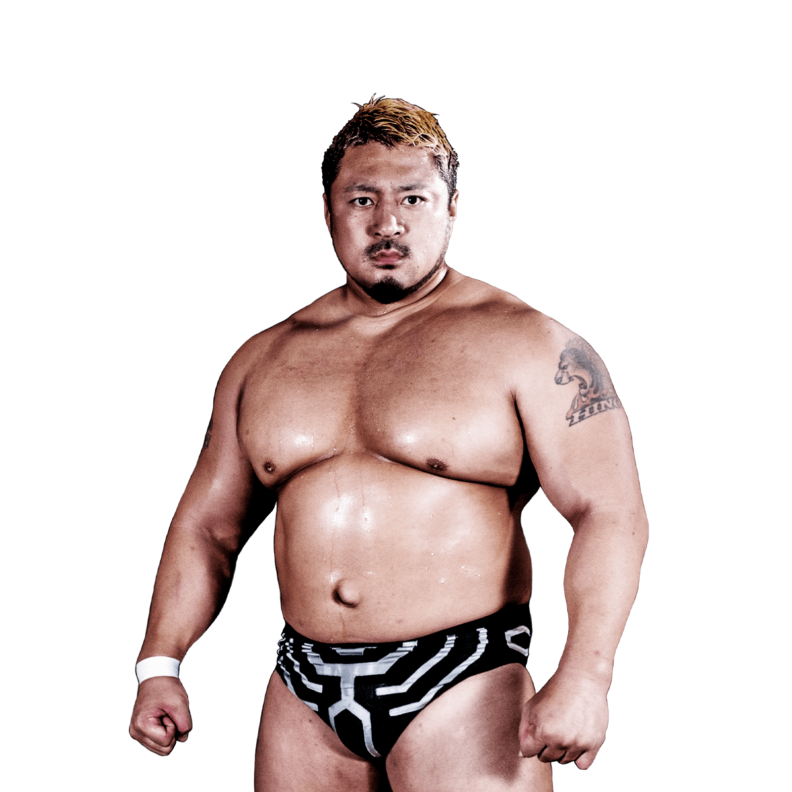 大仁田厚vsクロちゃん クリスマス最終決戦 スカイツリー路上電流爆破プロレス Wrestle Universe