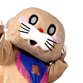 Pokotan