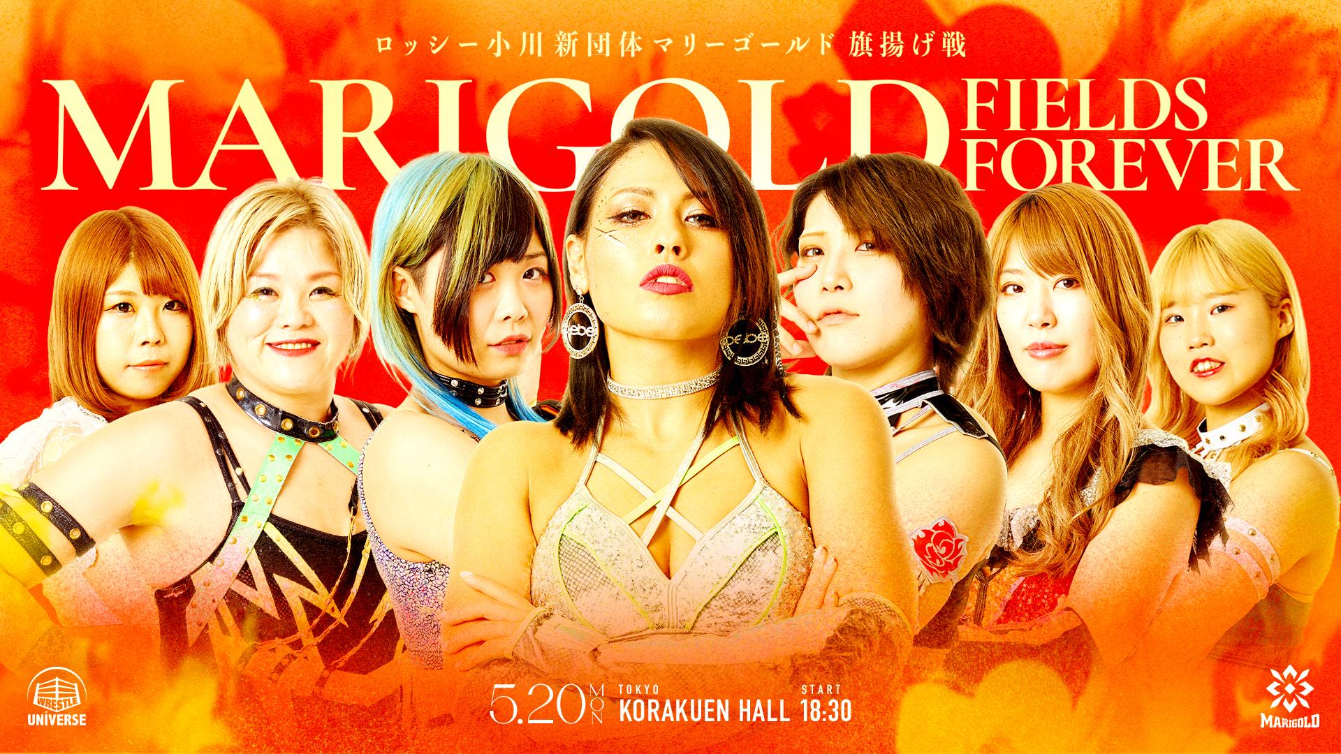 Marigold・