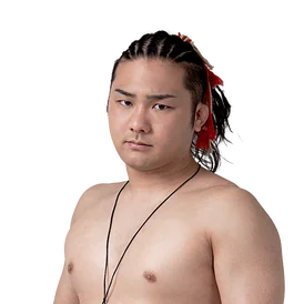 石田有輝
