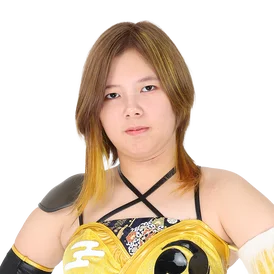 Ai Houzan