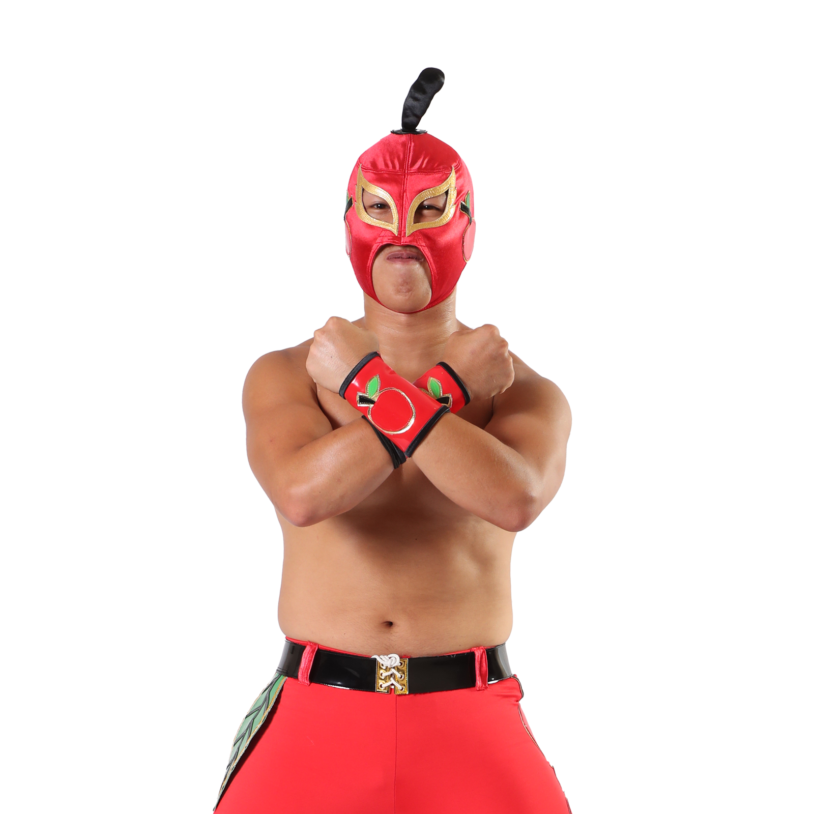 値下げ！伝説の国際プロレス img_d023523a793ff138735b9c1d19