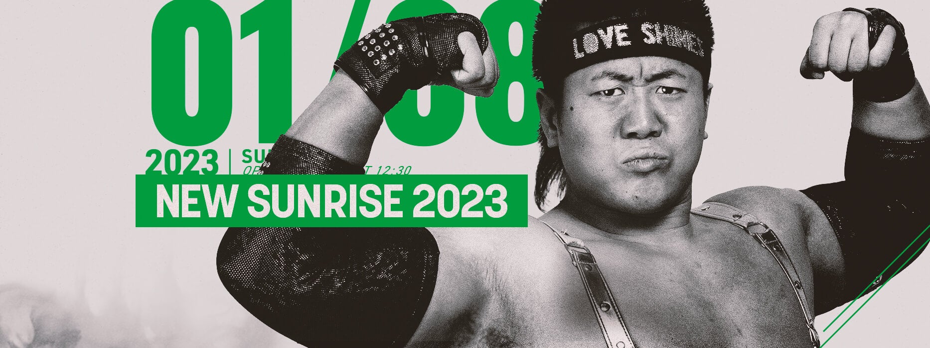 武藤敬司引退記念Blu-ray BOX PRO-WRESTLING LOVE 新しい 14455円引き