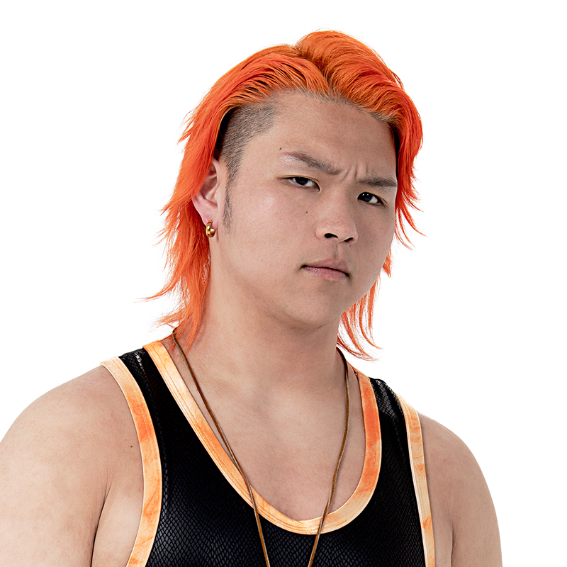 DDTプロレス KANON ポートレート 11種類 DDTプロレス KANON ポート