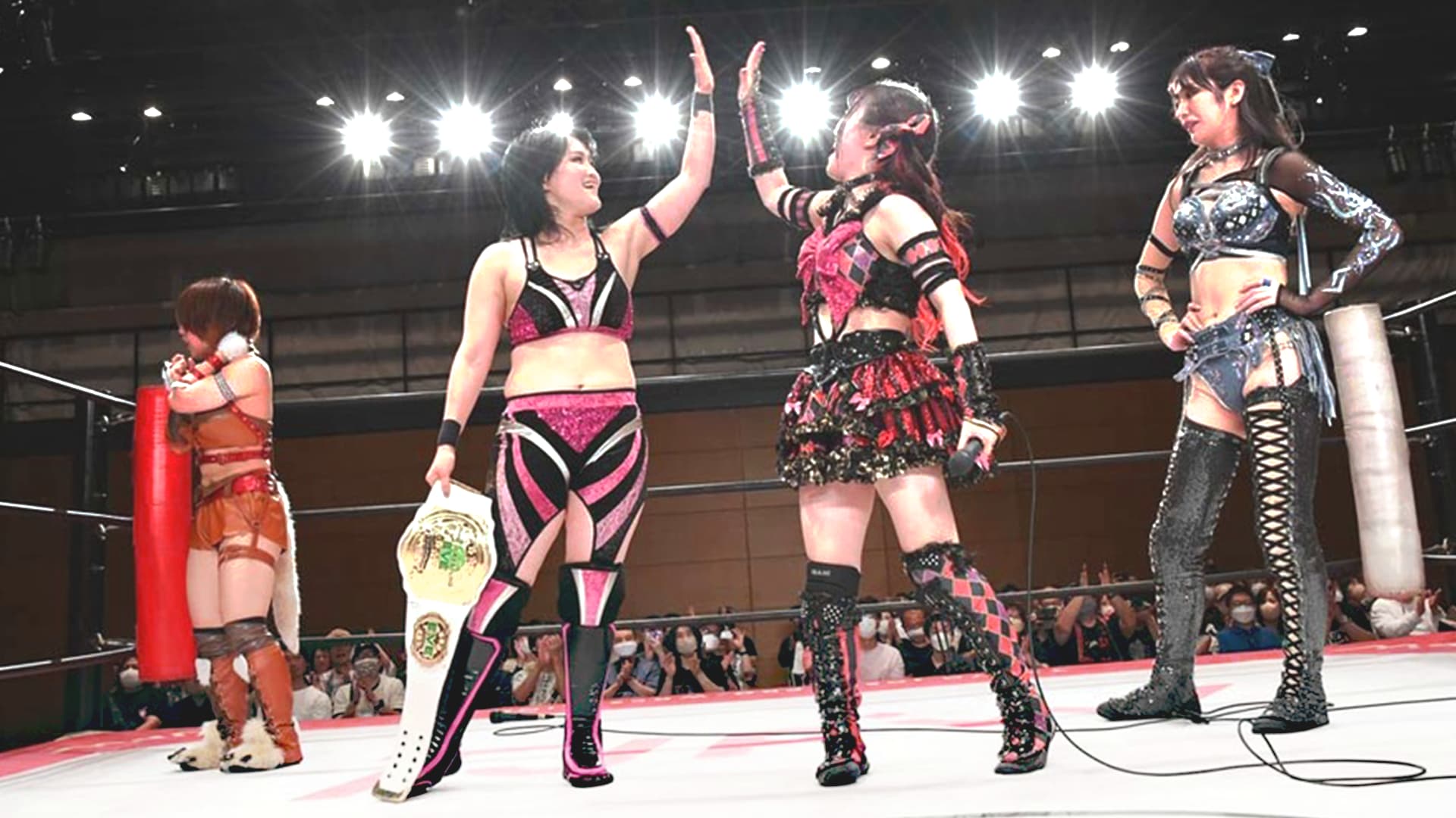 Tokyo Joshi Pro-Wrestling・