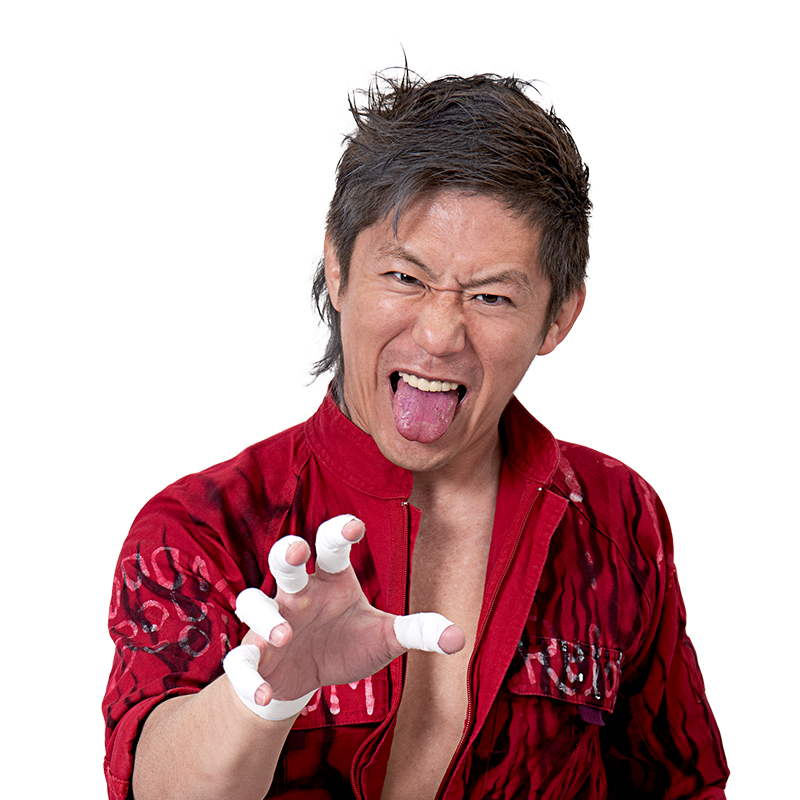 プロレス ビリー・ライレー 出場 プログラム kxcsn9cD8VB5TbnnS7U733