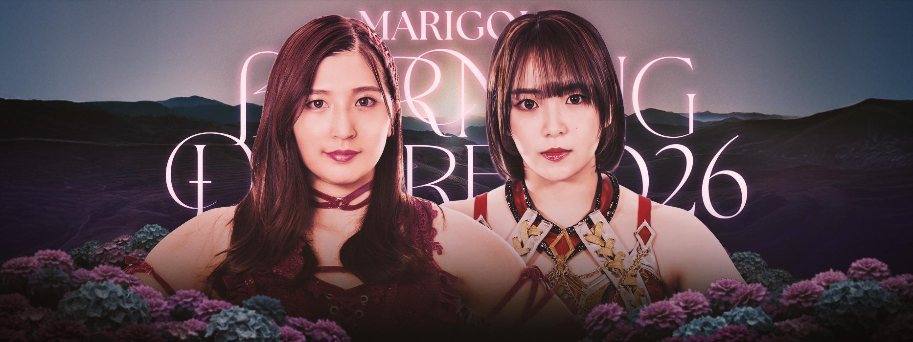 MARILIA マリリアゴールドソープ 新品 未開封 マリーゴールド・『Marigold Burning Desire 2026｜07.30』 | 生配信