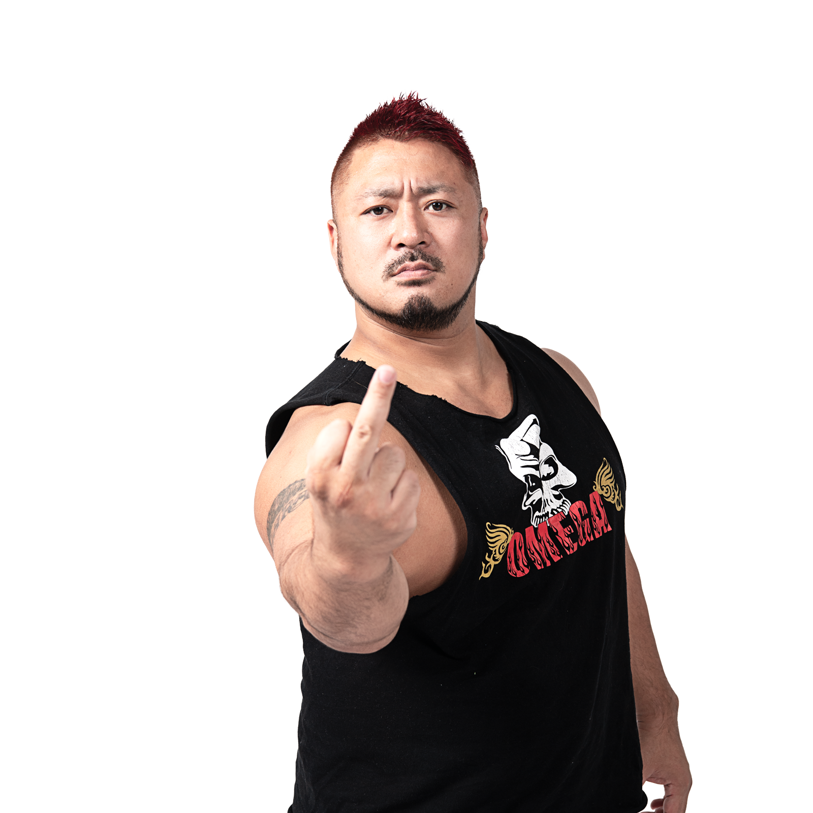 YUJI HINO | WRESTLE UNIVERSE