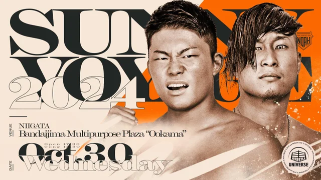 齋藤彰俊（Akitoshi Saito）プロフィール | 齋藤彰俊の試合を