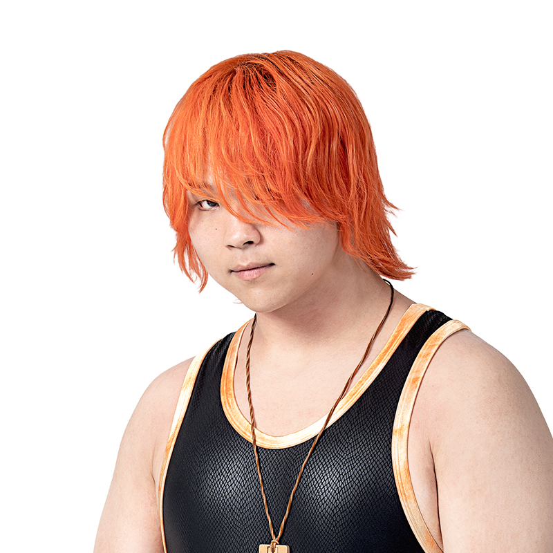 全日本キック THE 20th ANNIVERASRY THE TRUTH〈2… DDT・