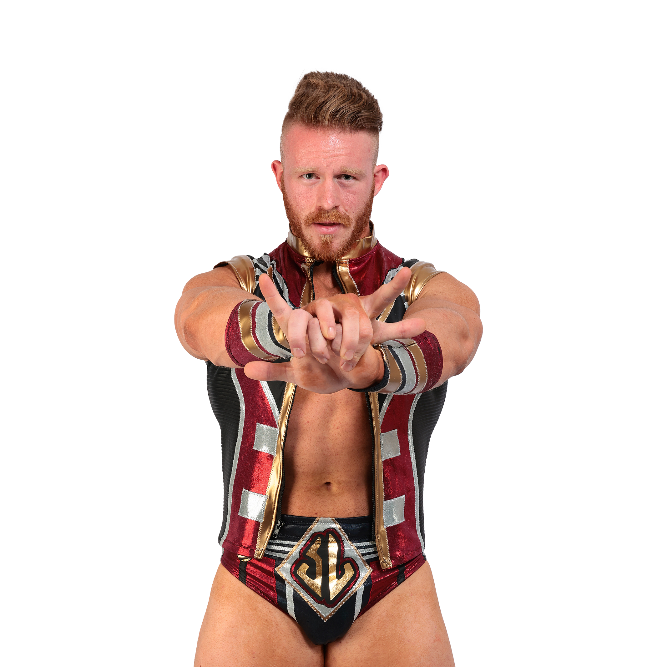 最新最全の Sean UNIVERSE WRESTLE | Legacy その他