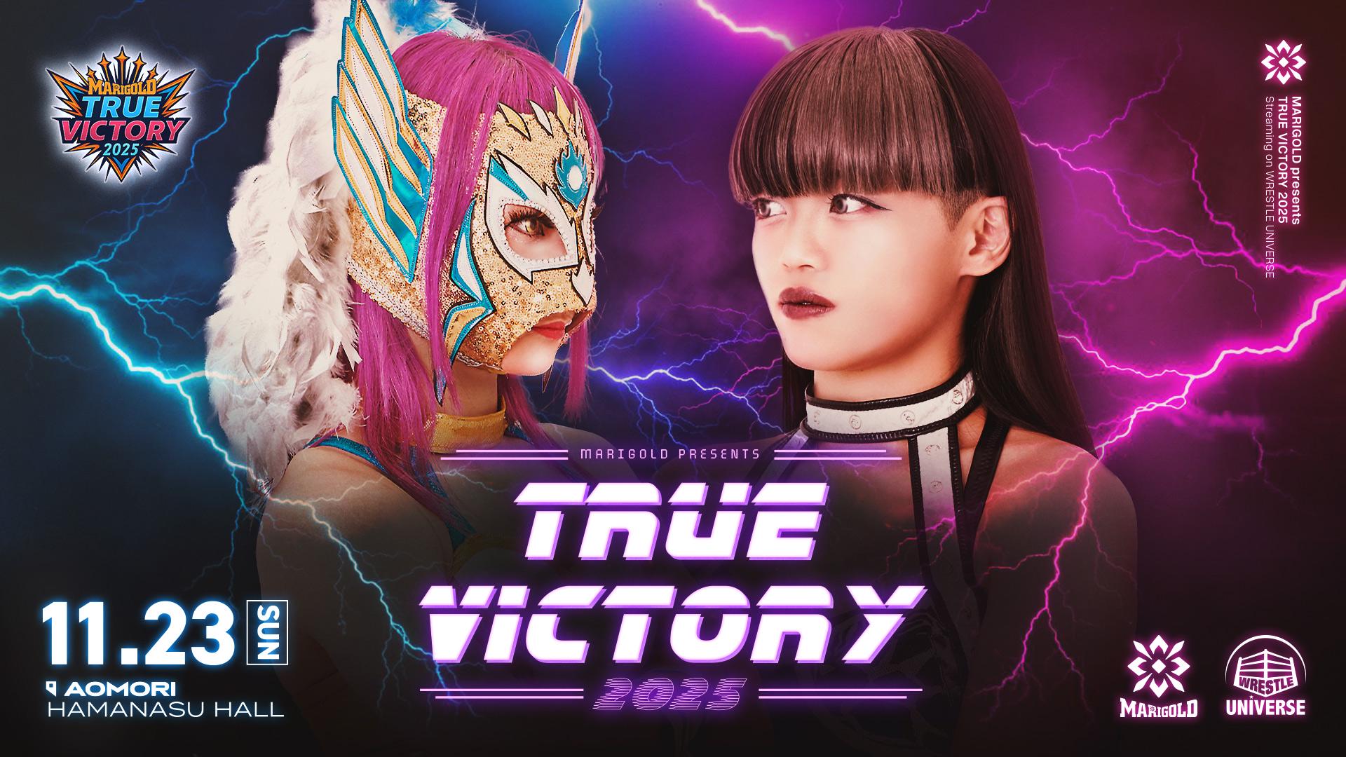 マリーゴールド様 マリーゴールド ガイドブック Vol.14 | 写真集／ガイドブック | ビッグ